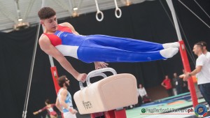 serie b lpg06047 ph pagliaricci ferraro